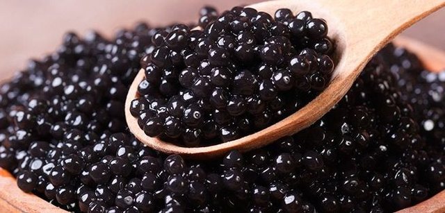 تولید خاویار پرورشی با چالش هایی روبروست 